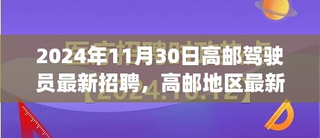 高邮地区最新驾驶员招聘深度测评与介绍，2024年高邮驾驶员招聘启事