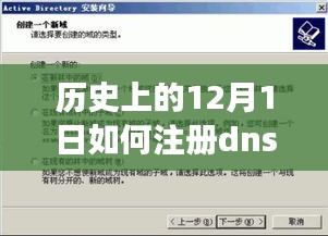 温馨时光，老友相伴，一个关于DNS注册的12月1日小故事与指南