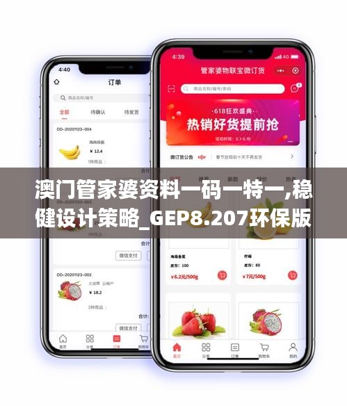 澳门管家婆资料一码一特一,稳健设计策略_GEP8.207环保版