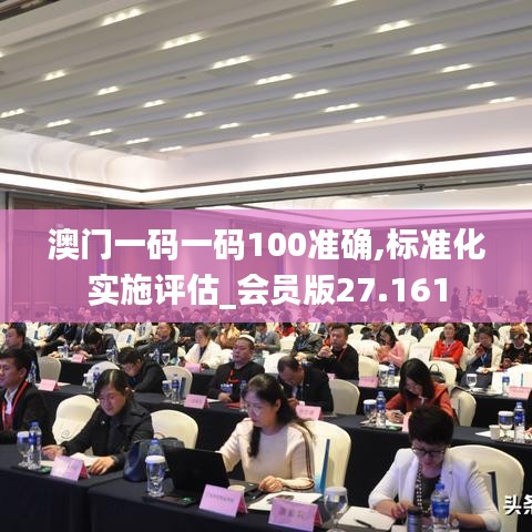 澳门一码一码100准确,标准化实施评估_会员版27.161