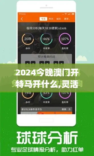 2024今晚澳门开特马开什么,灵活设计解析方案_试用版19.259