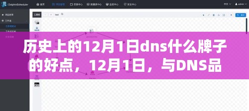 历史上的12月1日，与优质DNS品牌的温馨邂逅