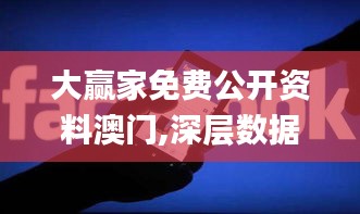 大赢家免费公开资料澳门,深层数据执行策略_uShop62.804