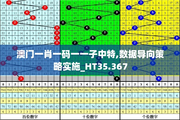 澳门一肖一码一一子中特,数据导向策略实施_HT35.367