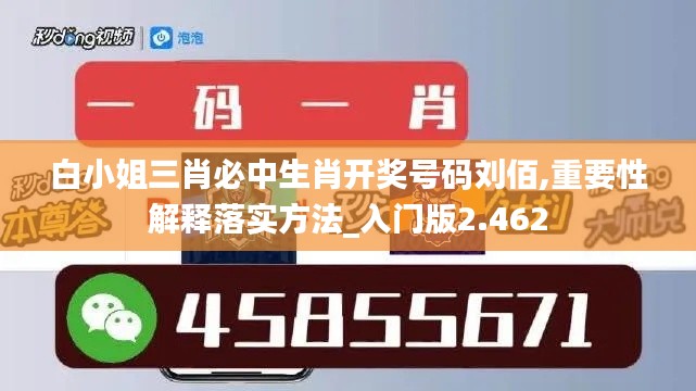 白小姐三肖必中生肖开奖号码刘佰,重要性解释落实方法_入门版2.462