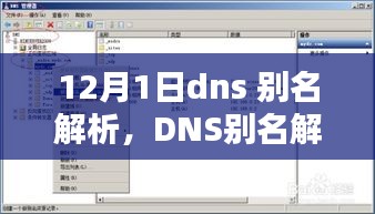 DNS别名解析设置全攻略，初学者与进阶用户操作指南（12月1日更新版）