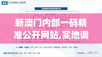 新澳门内部一码精准公开网站,实地调研解释定义_V21.726