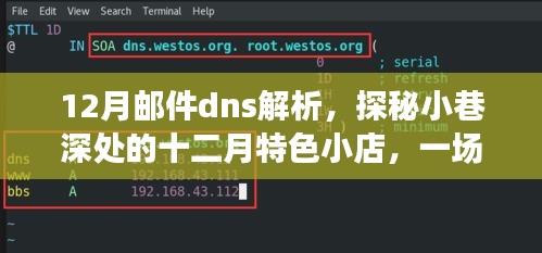 探秘十二月小巷深处的特色小店，一场独特的DNS解析之旅
