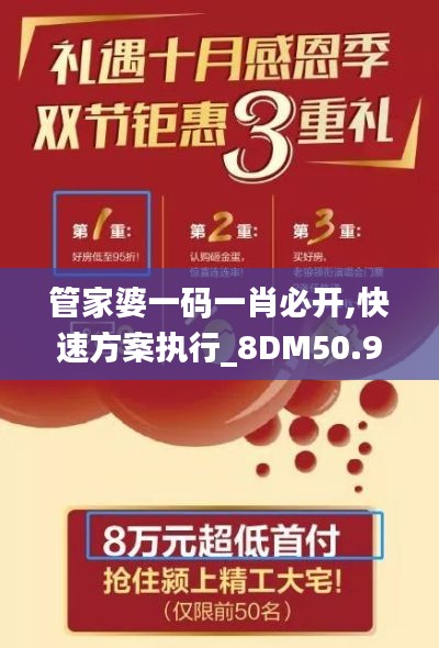 管家婆一码一肖必开,快速方案执行_8DM50.95