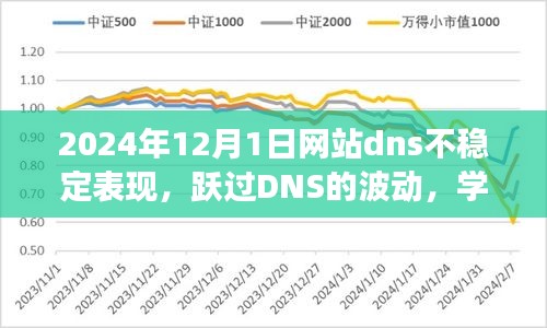 跃过DNS波动，学习变化的力量，探寻网站稳定性与成就感的源泉