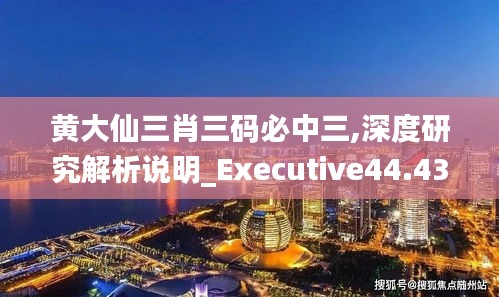 黄大仙三肖三码必中三,深度研究解析说明_Executive44.439