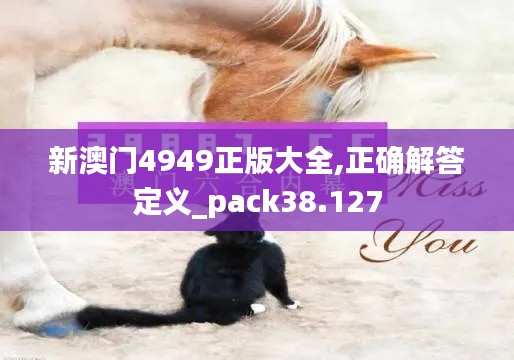 新澳门4949正版大全,正确解答定义_pack38.127