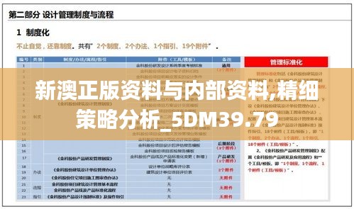 新澳正版资料与内部资料,精细策略分析_5DM39.79