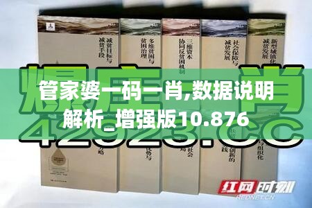 管家婆一码一肖,数据说明解析_增强版10.876