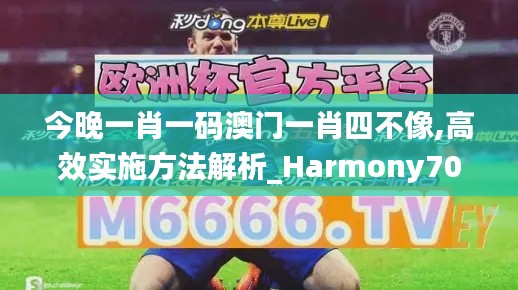 今晚一肖一码澳门一肖四不像,高效实施方法解析_Harmony70.303