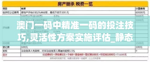 澳门一码中精准一码的投注技巧,灵活性方案实施评估_静态版15.941