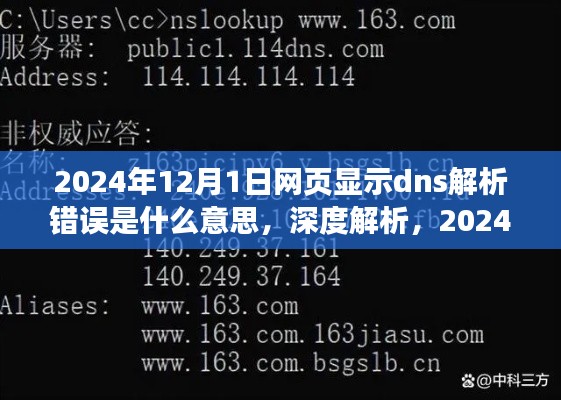 深度解析，2024年DNS解析错误在网页中的含义、影响及评测