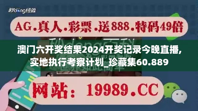 澳门六开奖结果2024开奖记录今晚直播,实地执行考察计划_珍藏集60.889