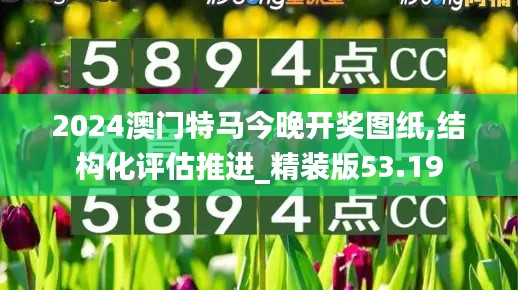 2024澳门特马今晚开奖图纸,结构化评估推进_精装版53.19