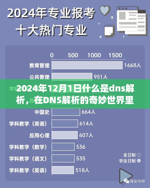 2024年DNS解析的奇妙世界，友情连接无界限的温馨故事