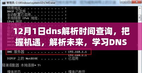 励志之旅，学习DNS解析时间查询，把握机遇，解析未来之门于12月1日开启