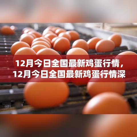 12月全国最新鸡蛋行情深度解析及市场走势预测