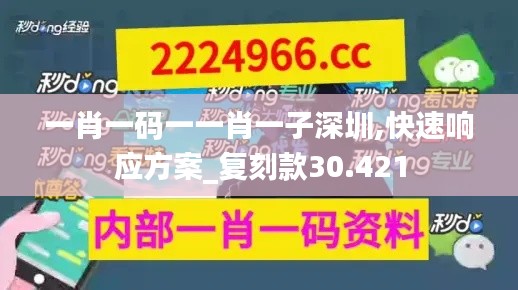 一肖一码一一肖一子深圳,快速响应方案_复刻款30.421