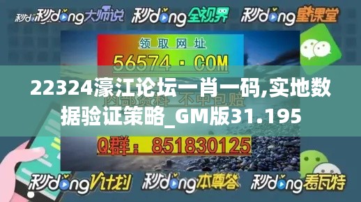 22324濠江论坛一肖一码,实地数据验证策略_GM版31.195