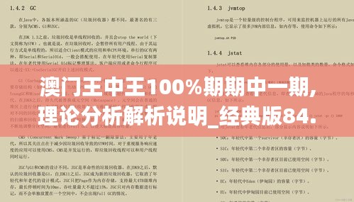 澳门王中王100%期期中一期,理论分析解析说明_经典版84.717