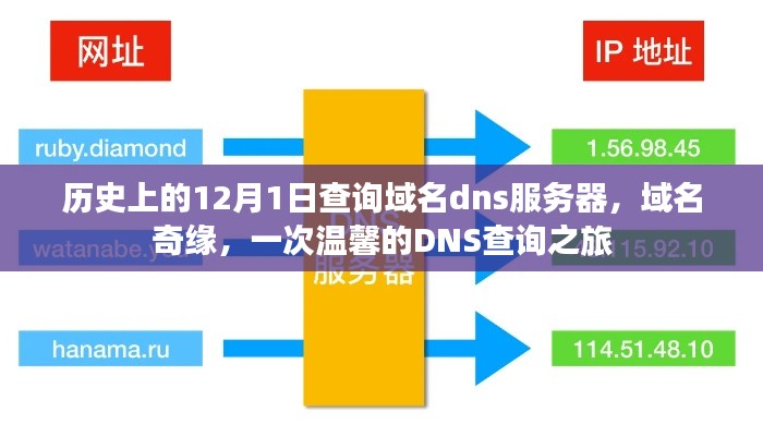 温馨的域名奇缘，一次历史上的DNS查询之旅