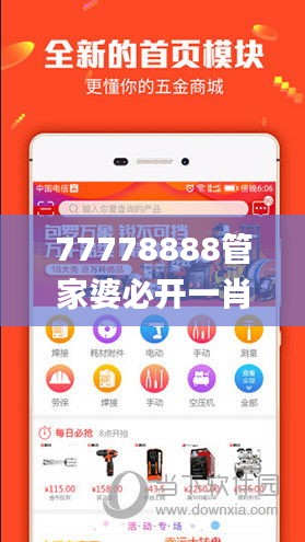 77778888管家婆必开一肖,深层执行数据策略_优选版53.121