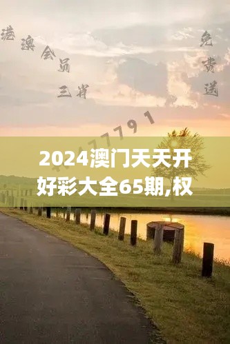 2024澳门天天开好彩大全65期,权威解答解释定义_占用版28.026