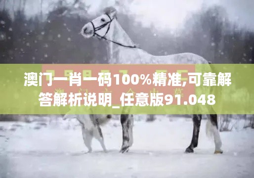 澳门一肖一码100%精准,可靠解答解析说明_任意版91.048