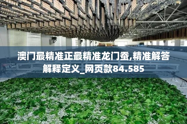 澳门最精准正最精准龙门蚕,精准解答解释定义_网页款84.585