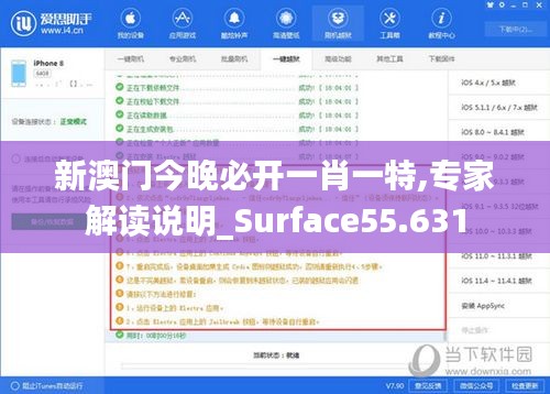 新澳门今晚必开一肖一特,专家解读说明_Surface55.631