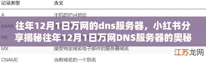 揭秘往年12月1日万网DNS服务器的秘密，小红书分享回顾与解析