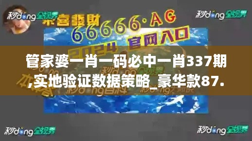 2024年12月2日 第5页