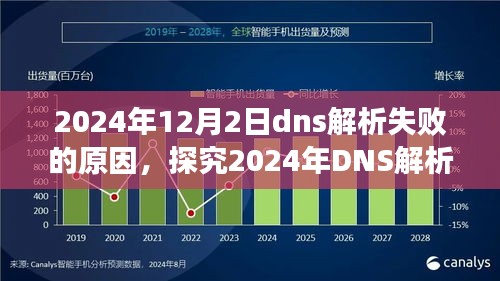 2024年DNS解析失败现象探究，原因、影响与深入分析