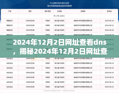 揭秘，如何查看DNS以访问特定网址（2024年指南）