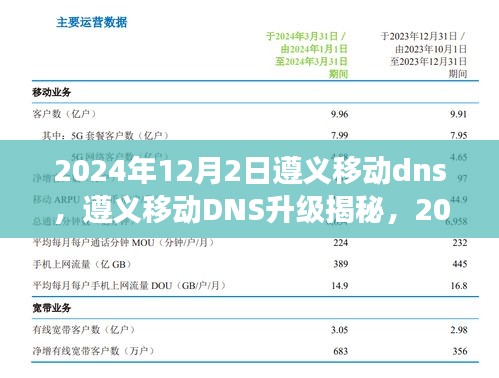 遵义移动DNS升级之旅，揭秘2024年网络革新之旅