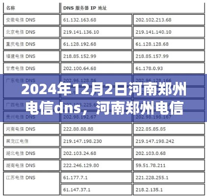 河南郑州电信DNS解析服务详解及未来展望，解析服务要点与趋势分析（2024年）