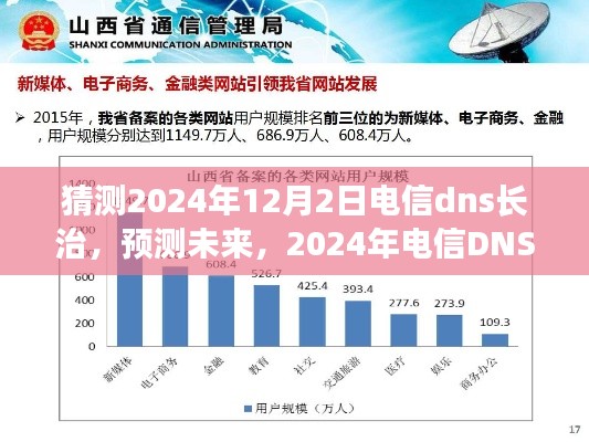 2024年电信DNS在长治的发展趋势预测