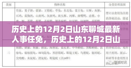 历史上的12月2日山东聊城人事任免详解与任务完成步骤指南