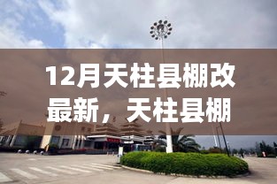 天柱县棚改最新动态，深入分析与个人观点总结