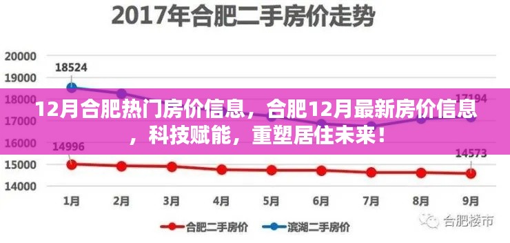 科技赋能重塑未来，合肥十二月热门房价信息解析