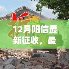 阳信县土地征收动态，最新解读与深度探讨征收细节聚焦要点