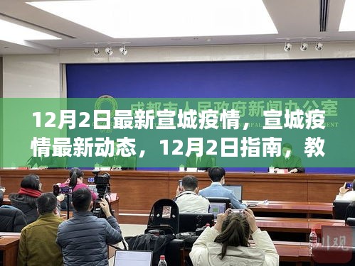 宣城疫情最新动态及应对指南，12月2日最新更新