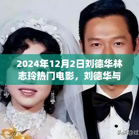 刘德华与林志玲银幕巅峰，2024年热门电影展望