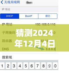 2024年手机DNS缓存更新步骤详解，轻松上手，一键搞定！