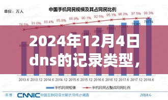 深度解析，2024年12月4日DNS记录类型评测报告及全面解析